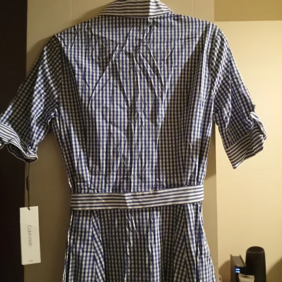 Blue Gingham Women's Dress - Picture 5 of 6